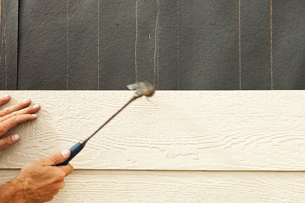 Best Custom Trim and Detailing for Siding  in Nephi, UT